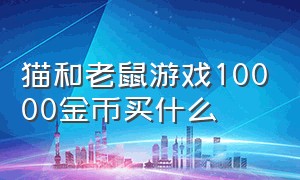 猫和老鼠游戏10000金币买什么