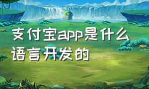 支付宝app是什么语言开发的（支付宝是哪家公司开发的软件）