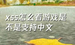 xss怎么看游戏是不是支持中文