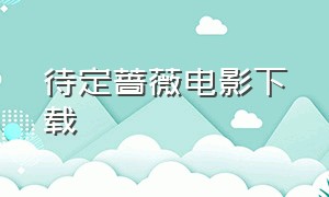 待定蔷薇电影下载（待绽蔷薇1080p下载）