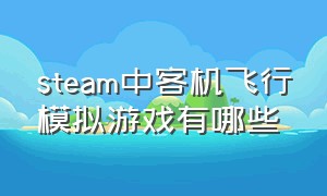 steam中客机飞行模拟游戏有哪些（steam免费模拟飞行游戏推荐）