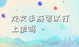 龙女手游可以打上单吗