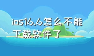 ios16.6怎么不能下载软件了