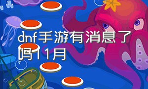 dnf手游有消息了吗11月（dnf手游正式上线时间终于公布了）