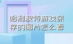 哈利波特游戏保存的图片怎么看