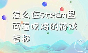 怎么在steam里面看吃鸡的游戏名称