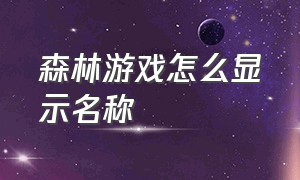 森林游戏怎么显示名称（森林游戏怎么显示自己的状态）