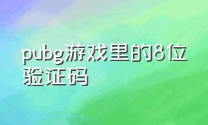 pubg游戏里的8位验证码（pubg绑定游戏账户八位验证码过期）