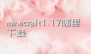 minecraft1.17哪里下载（我的世界1.17直接下载）