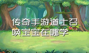 传奇手游道士召唤宝宝在哪学（传奇手游道士召唤多种宝宝）