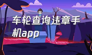 车轮查询违章手机app（车轮查违章app官方下载怎么授权）