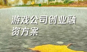 游戏公司创业融资方案