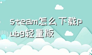 steam怎么下载pubg轻量版