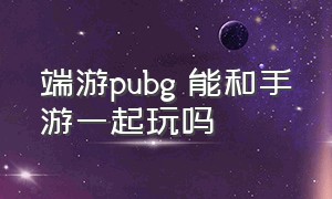 端游pubg 能和手游一起玩吗