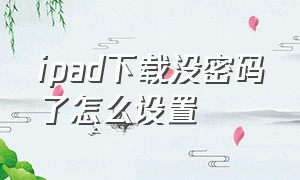 ipad下载没密码了怎么设置（ipad下载需要密码设置）