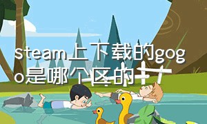 steam上下载的gogo是哪个区的