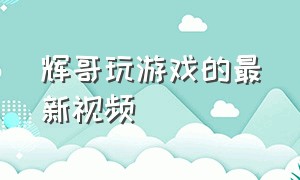 辉哥玩游戏的最新视频