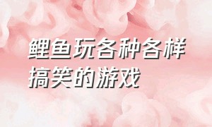 鲤鱼玩各种各样搞笑的游戏