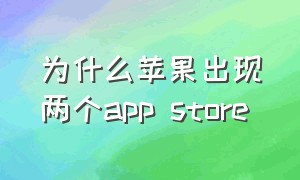 为什么苹果出现两个app store