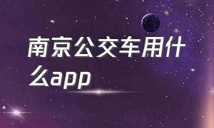 南京公交车用什么app（南京公交车查询路线）