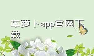 车萝卜app官网下载（车萝卜可以安装安卓第三方软件吗）