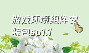 游戏环境组件安装包sp1.1