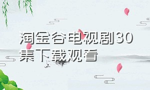 淘金谷电视剧30集下载观看