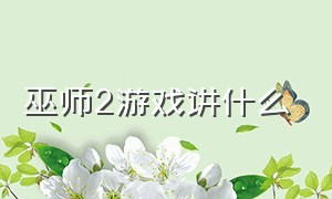 巫师2游戏讲什么