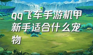 qq飞车手游机甲新手适合什么宠物