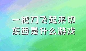 一把刀飞起来切东西是什么游戏