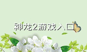 神龙2游戏入口