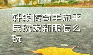 轩辕传奇手游平民玩家新服怎么玩