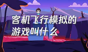 客机飞行模拟的游戏叫什么