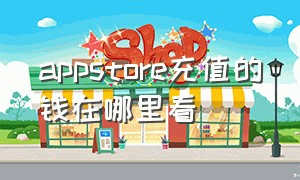 appstore充值的钱在哪里看（appstore的充值记录怎么看）