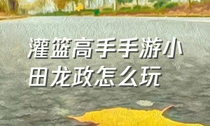 灌篮高手手游小田龙政怎么玩