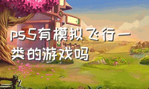 ps5有模拟飞行一类的游戏吗