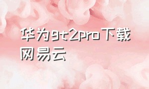 华为gt2pro下载网易云