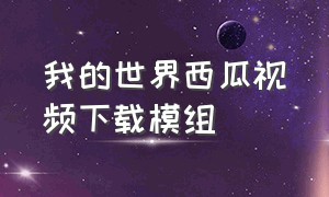 我的世界西瓜视频下载模组