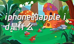 iphone的apple id是什么（苹果的apple id主要用于哪些地方）