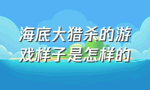 海底大猎杀的游戏样子是怎样的（海底大猎杀正版手游下载）