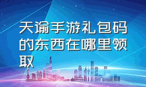 天谕手游礼包码的东西在哪里领取