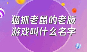 猫抓老鼠的老版游戏叫什么名字