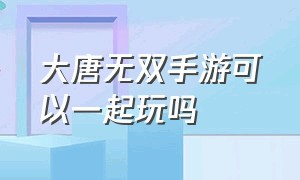 大唐无双手游可以一起玩吗（大唐无双手游官方和渠道在一起吗）