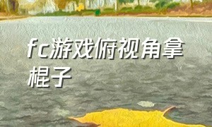 fc游戏俯视角拿棍子（fc游戏穿着盔甲拿着剑和盾）