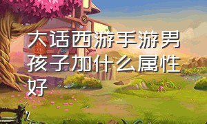 大话西游手游男孩子加什么属性好