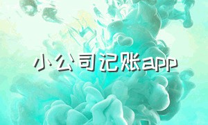 小公司记账app（公司记账app免费）