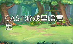 CAST游戏里啥意思（游戏里rounds什么意思）