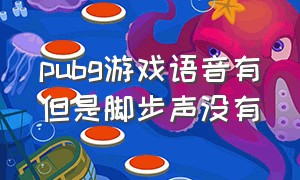 pubg游戏语音有但是脚步声没有