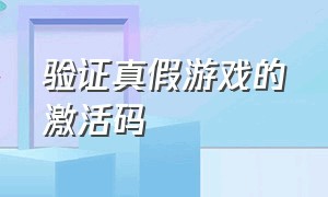 验证真假游戏的激活码