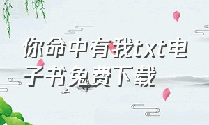 你命中有我txt电子书免费下载